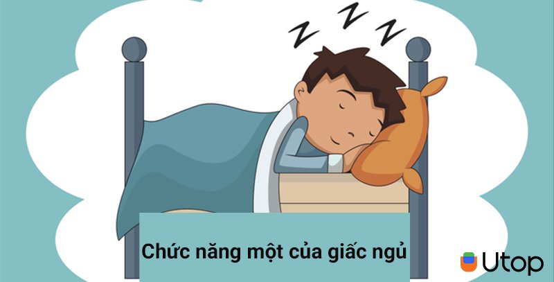 Chức năng của một giấc ngủ ngon: